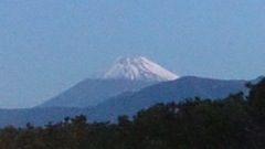 今日の富士山