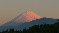 今日の富士山