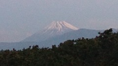 今日の富士山