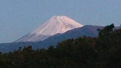 今日の富士山