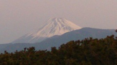 今日の富士山