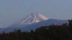 今日の富士山