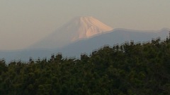 今日の富士山