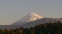 今日の富士山