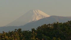 今日の富士山