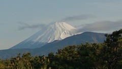 今日の富士山