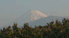 今日の富士山