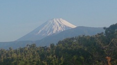 今日の富士山