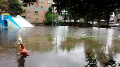 大雨で、公園が…