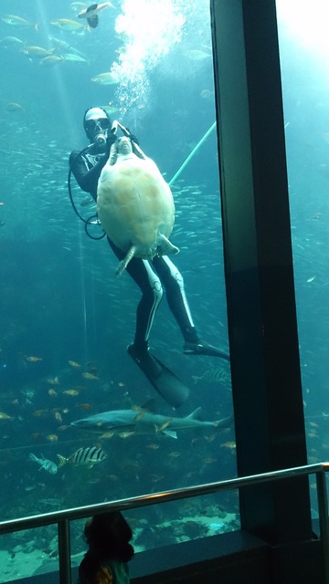 下田水族館